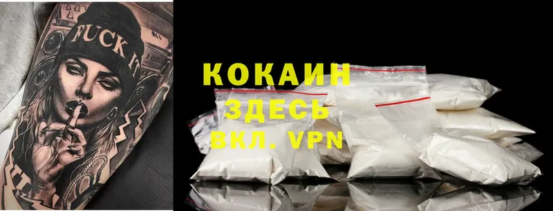 дарнет шоп  Артёмовск  hydra   Cocaine FishScale 