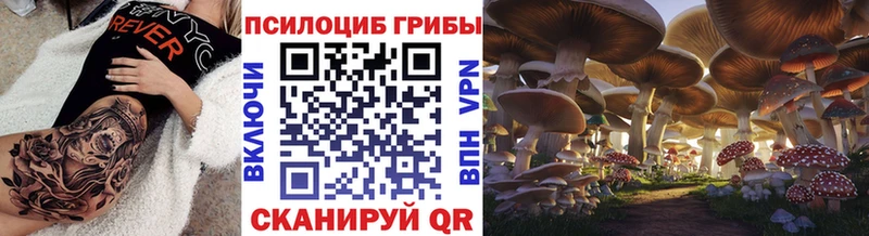 дарнет шоп Артёмовск Галлюциногенные грибы мицелий